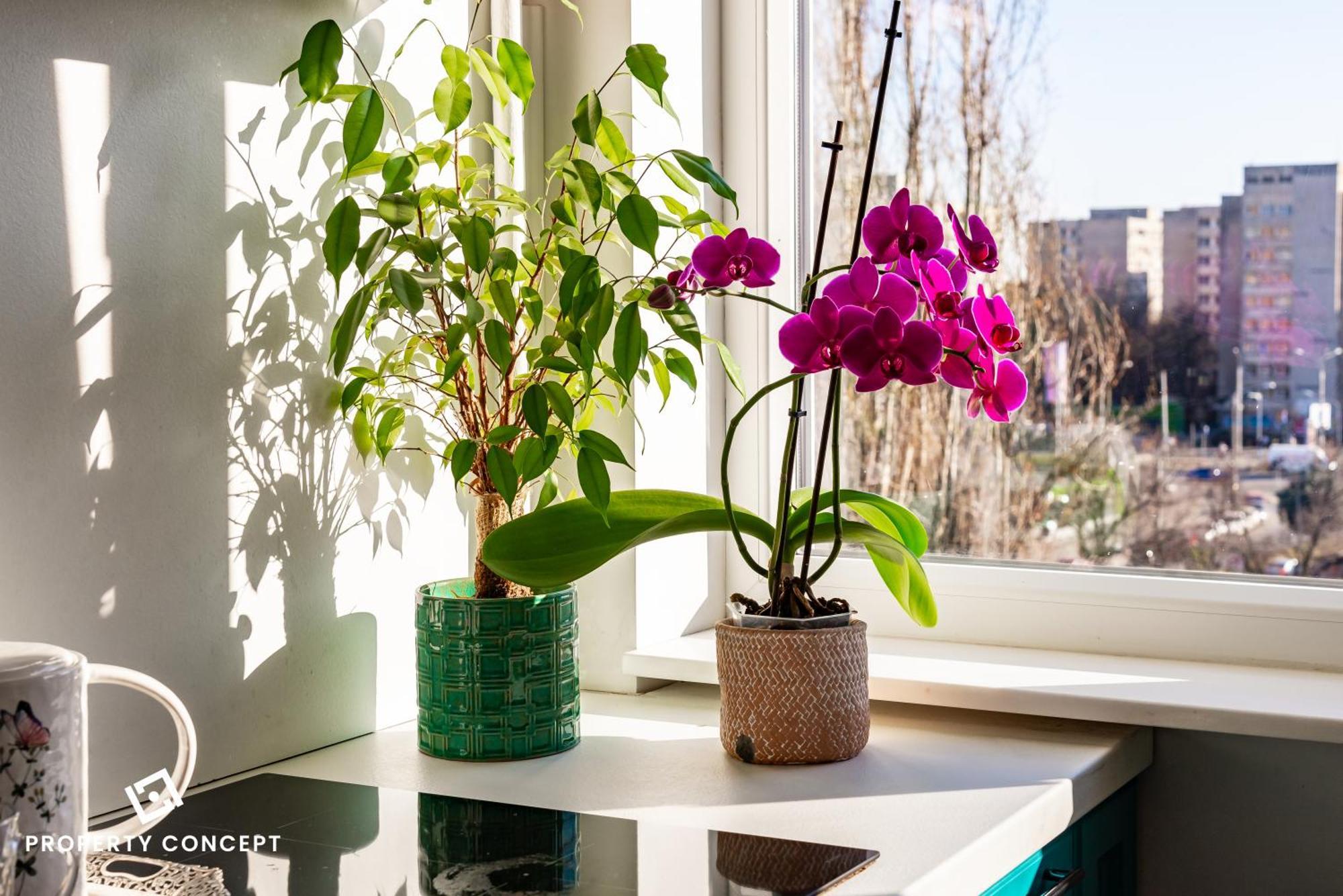 Blissful Retreat Apartment Бухарест Экстерьер фото