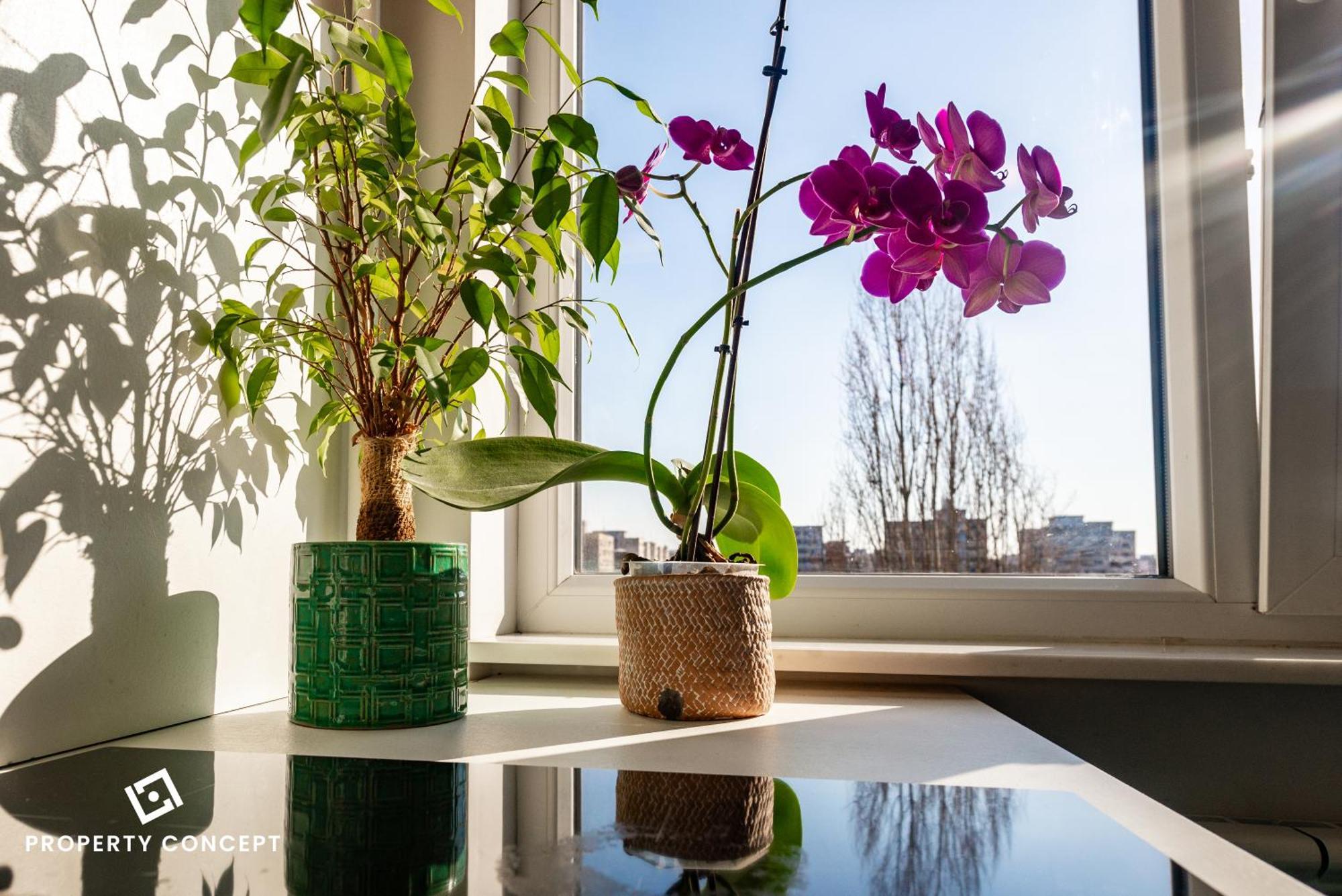 Blissful Retreat Apartment Бухарест Экстерьер фото